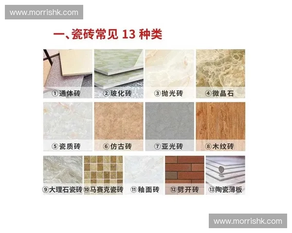 全面解析瓷砖种类特点与应用场景助你打造理想家居空间